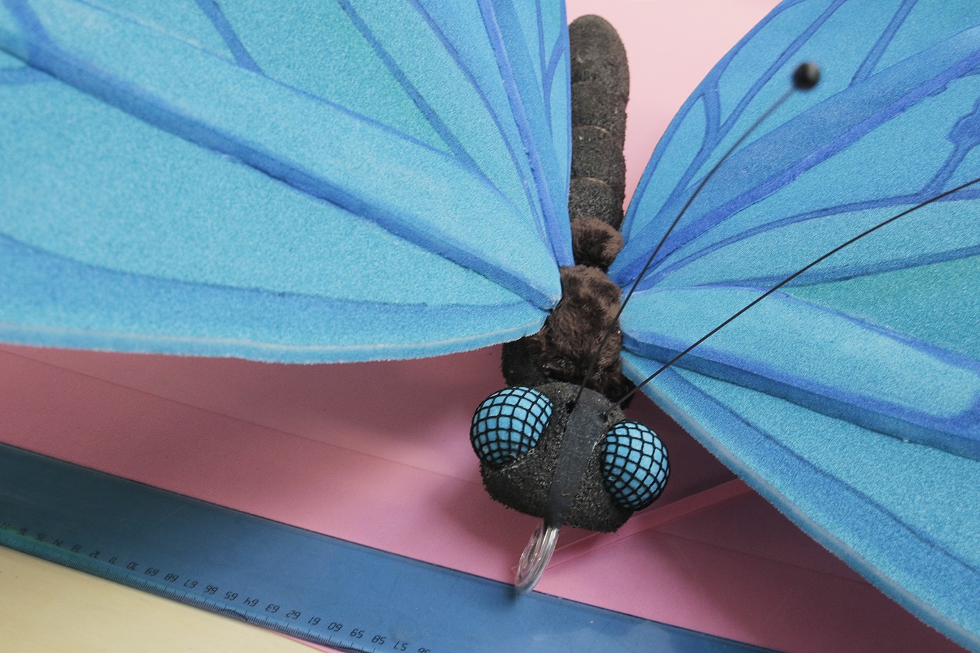 Detalj av hodet og vingene til en stor blå sommerfugl