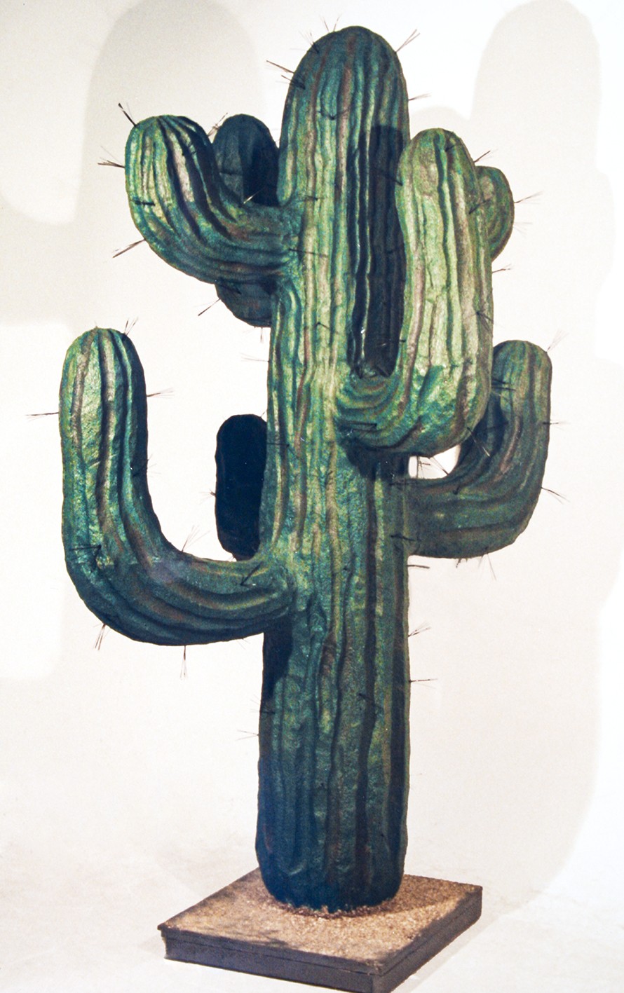 A green, large cactus with spines