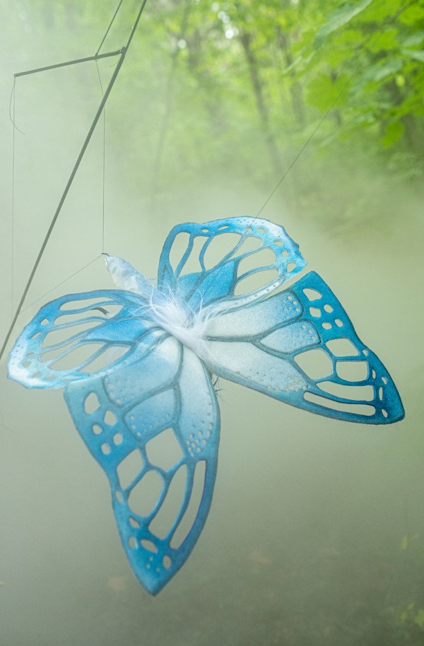 A Blue and white moth figure from above
