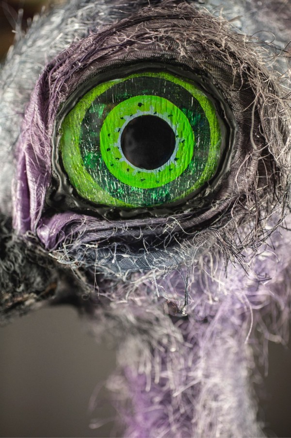 Et nærbilde av strutsen Claudia’s grønne og sorte øyne.