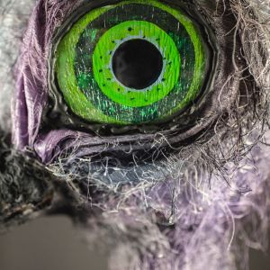 A close-up image of the green and black eye of Claudia the ostrich