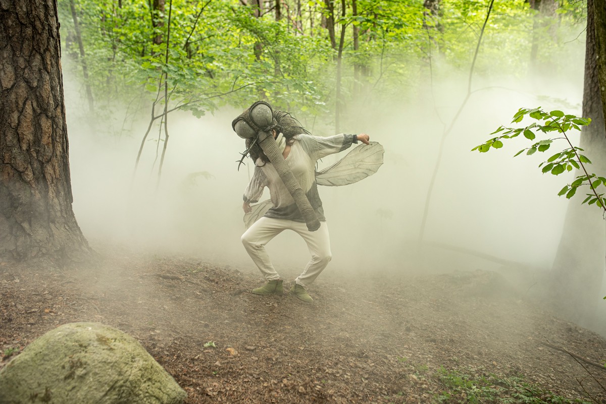 person with mosquito costume on in the mist