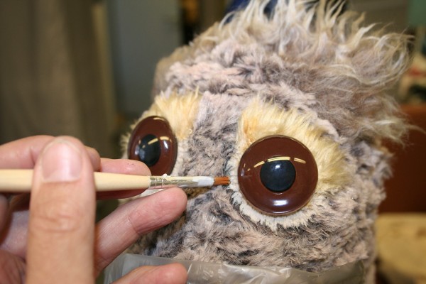 Adjusting the down feathers around the eyes of the seagull