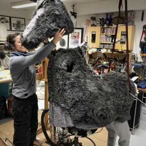 Testing the height of the donkey head above the body.