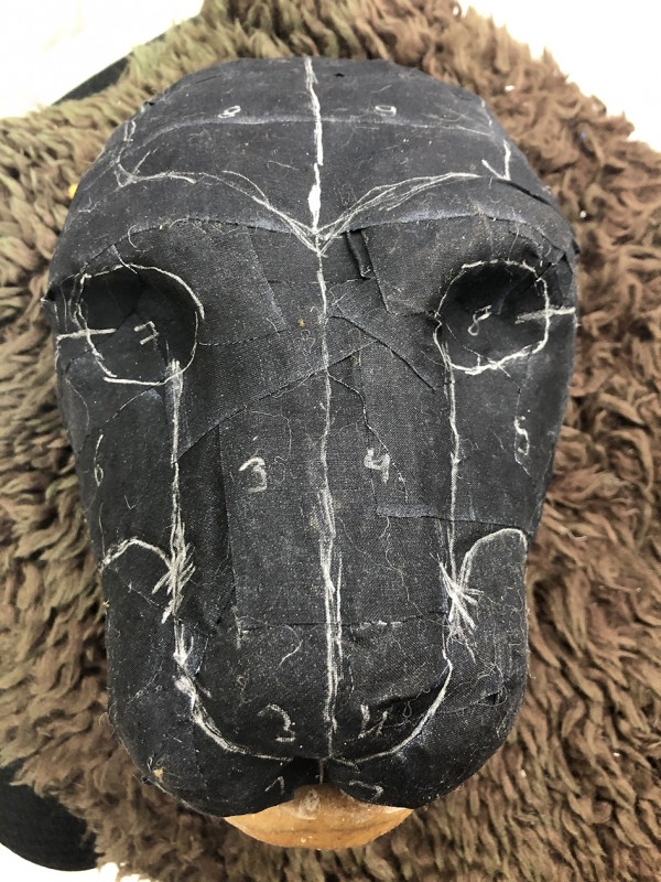 Pattern division drawn on the lion puppet head.