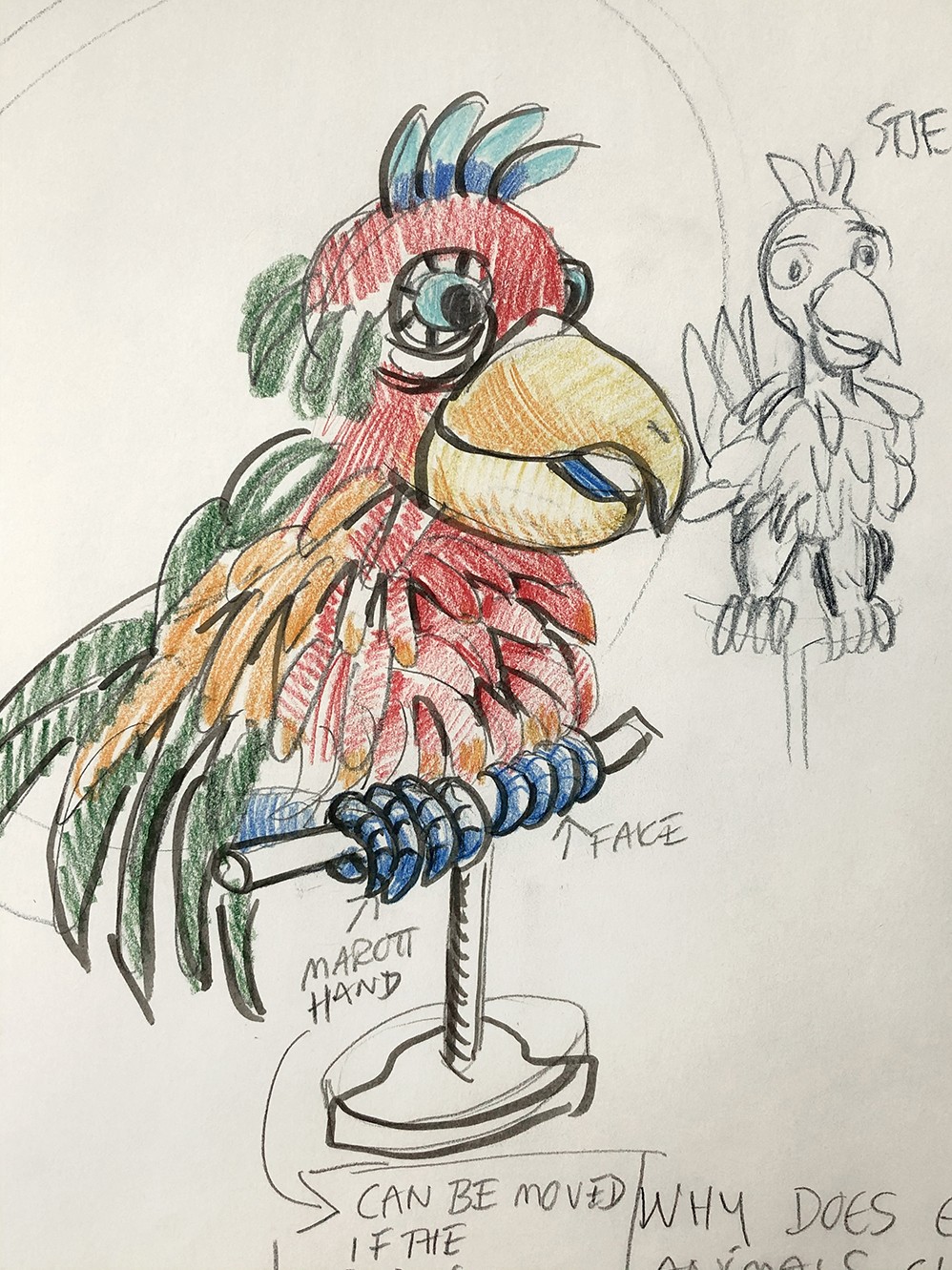 A sketch for the parrot puppet