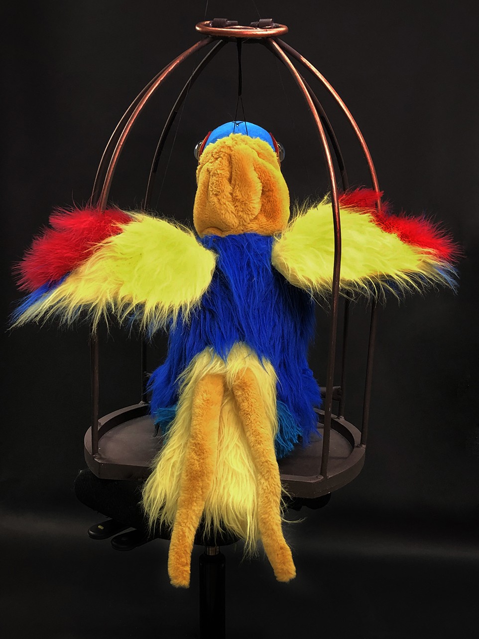 En fargerik papegøye med utslåtte vinger
