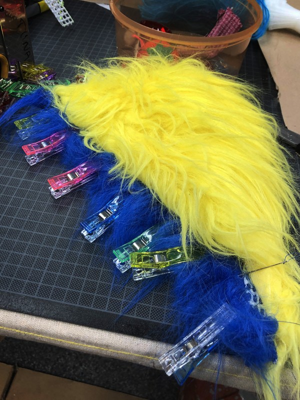 Yellow and blue parrot wing in making