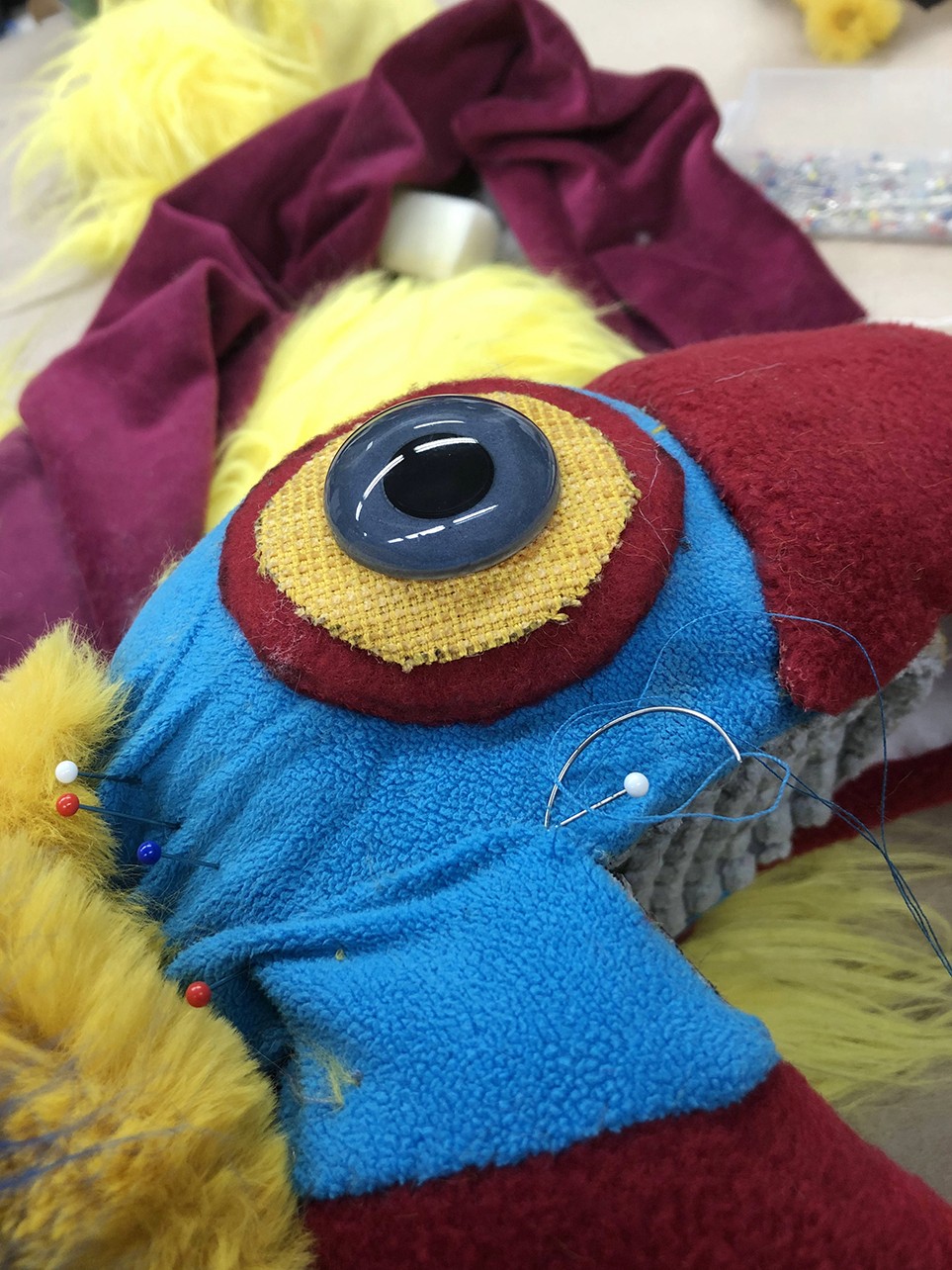 Closeup parrot-eye