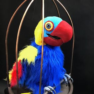 En fargerik papegøye